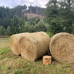 Quiet Anomaly Glamping Forest & Wellness Retreat Adults Only Pirkenhammer