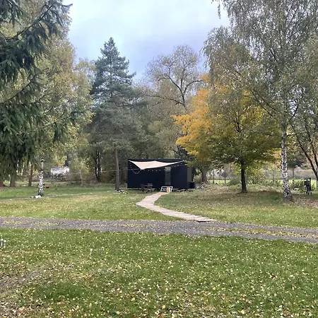 Quiet Anomaly Glamping Forest & Wellness Retreat Adults Only Camping *