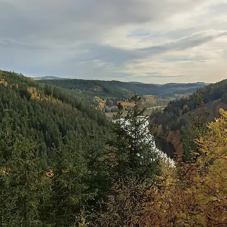 Quiet Anomaly Glamping Forest & Wellness Retreat Adults Only Camping Pirkenhammer