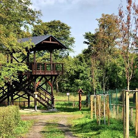 Quiet Anomaly Glamping Forest & Wellness Retreat Adults Only Camping Pirkenhammer