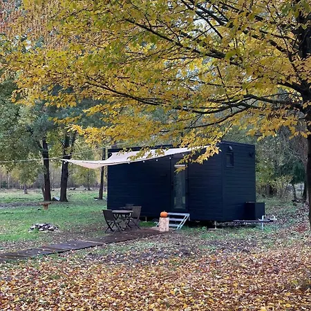 Quiet Anomaly Glamping Forest & Wellness Retreat Adults Only Camping Pirkenhammer