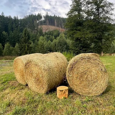 Quiet Anomaly Glamping Forest & Wellness Retreat Adults Only Camping Pirkenhammer
