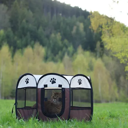 Quiet Anomaly Glamping Forest & Wellness Retreat Adults Only * Pirkenhammer