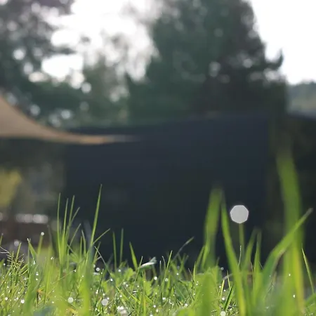 Camping Quiet Anomaly Glamping Forest & Wellness Retreat Adults Only *